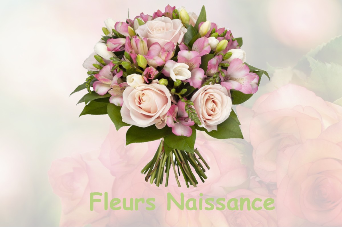 fleurs naissance LAWARDE-MAUGER-L-HORTOY